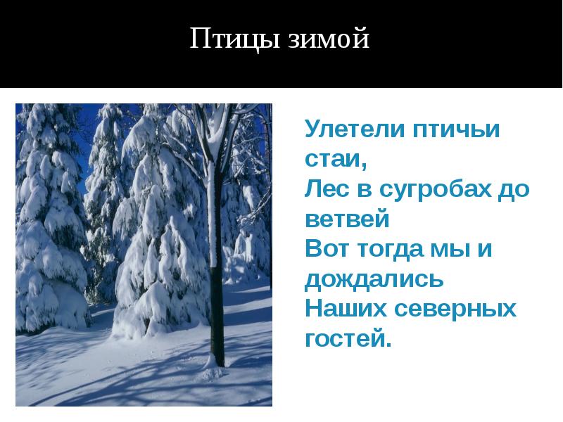 Как называется изображение неживой природы как живого существа вечор ты помнишь вьюга злилась