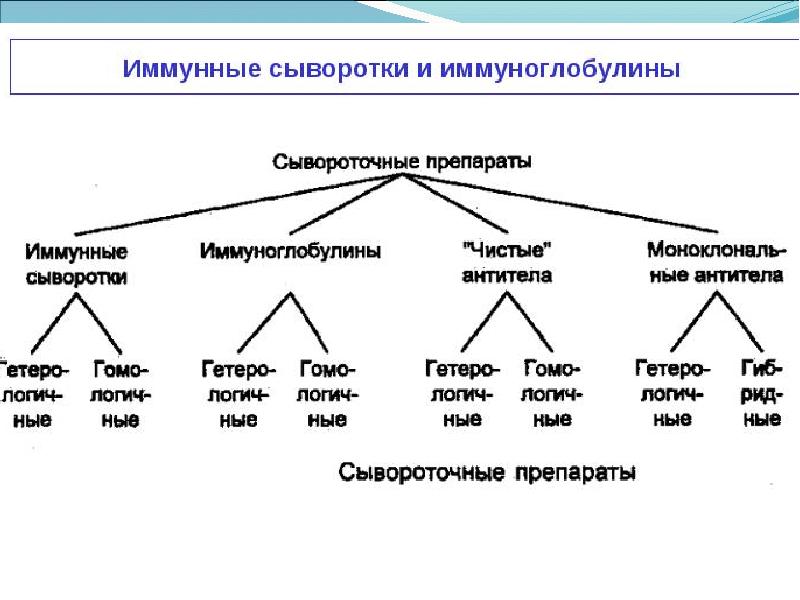 Сывороточные препараты презентация