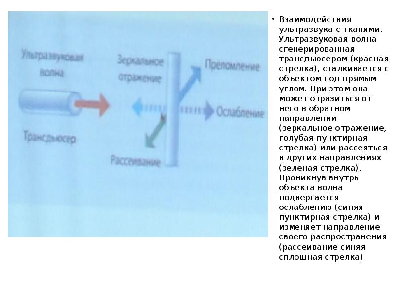 Ультразвуковые волны в жидкостях. Взаимодействие ультразвука с веществом. Особенности взаимодействия ультразвука с веществом. Трансдьюсером.