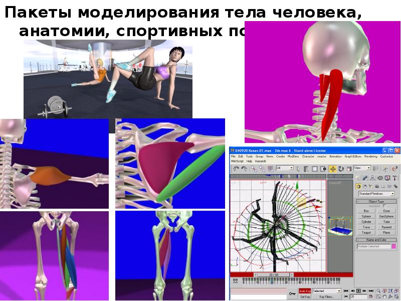 Моделирование в спорте презентация