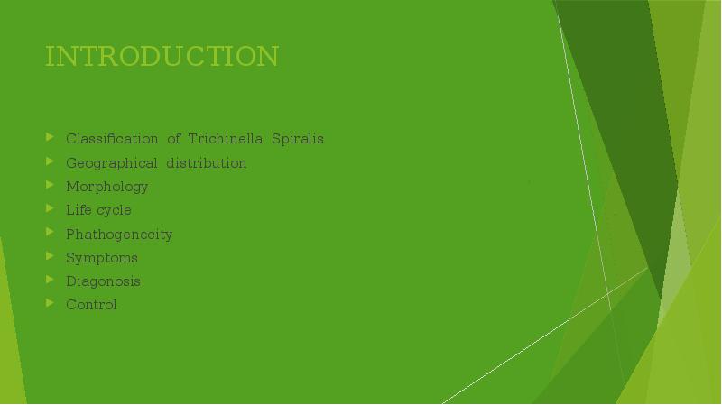 INTRODUCTION Classification of Trichinella Spiralis Geographical distribution Morphology Life cycle Phathogenecity