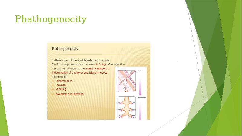 Phathogenecity