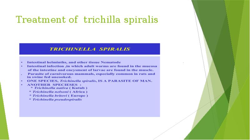 Treatment of trichilla spiralis