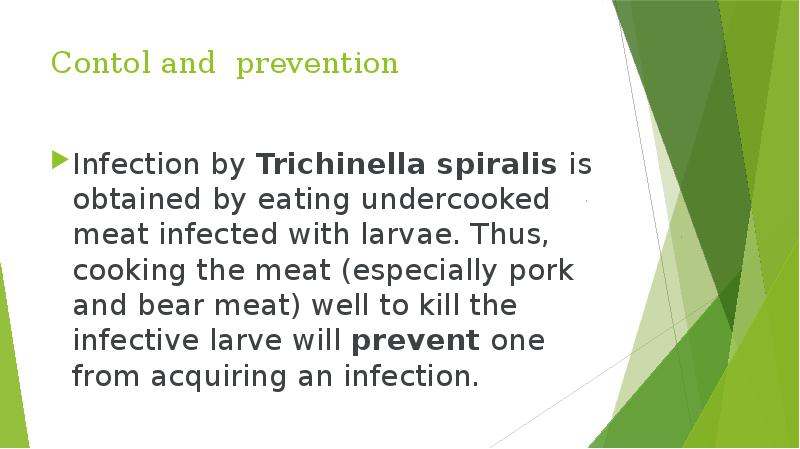 Contol and prevention Infection by&nbsp;Trichinella spiralis&nbsp;is obtained by eating undercooked meat