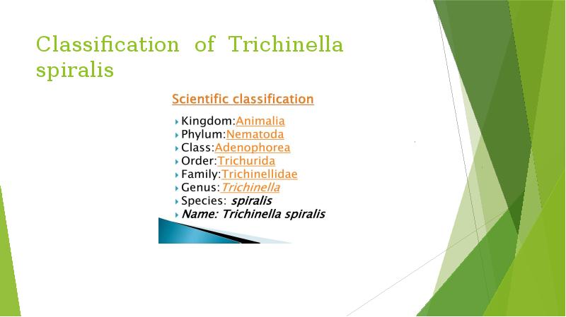 Classification of Trichinella spiralis