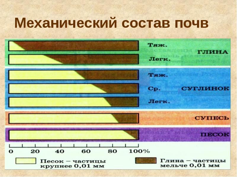 Презентация по географии 6 класс почва