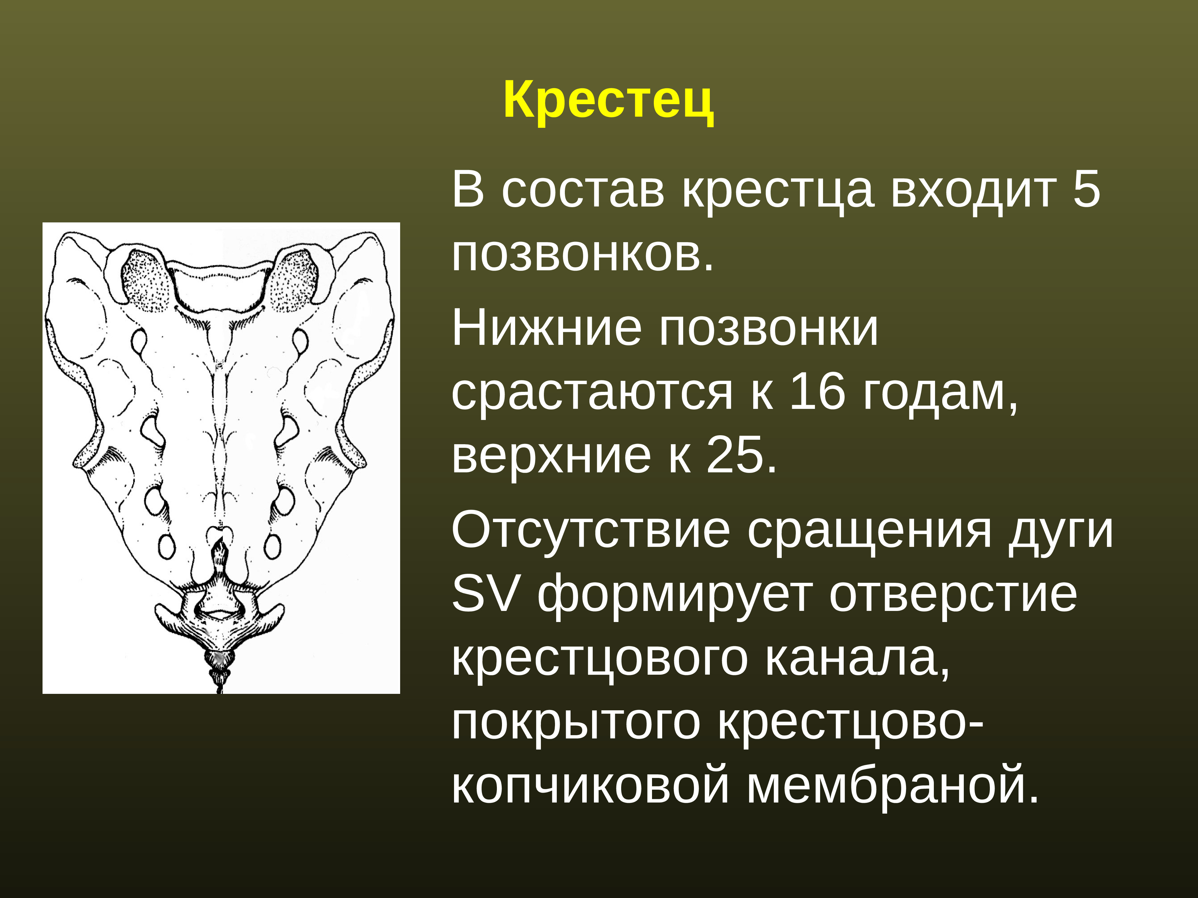 Регионарная анестезия у детей презентация