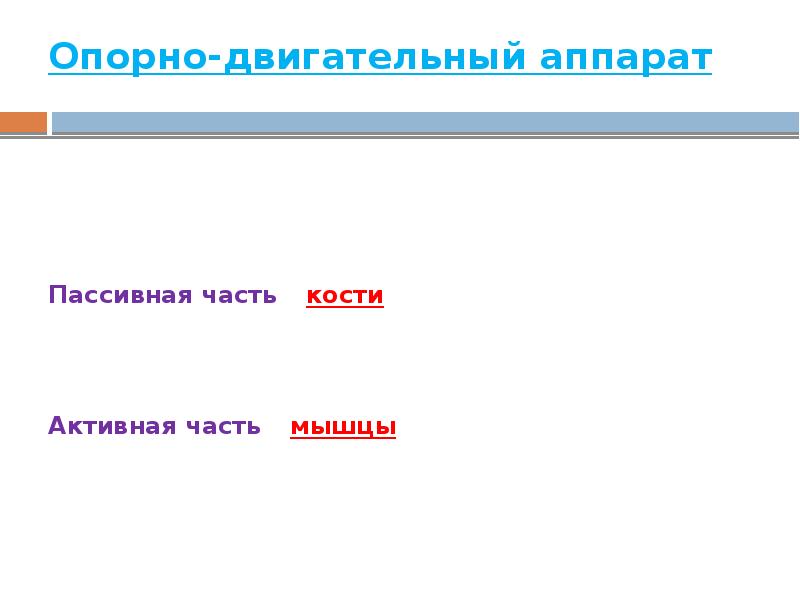 Опорно-двигательный аппарат  Опорно-двигательный аппарат - удержания тела и его частей
