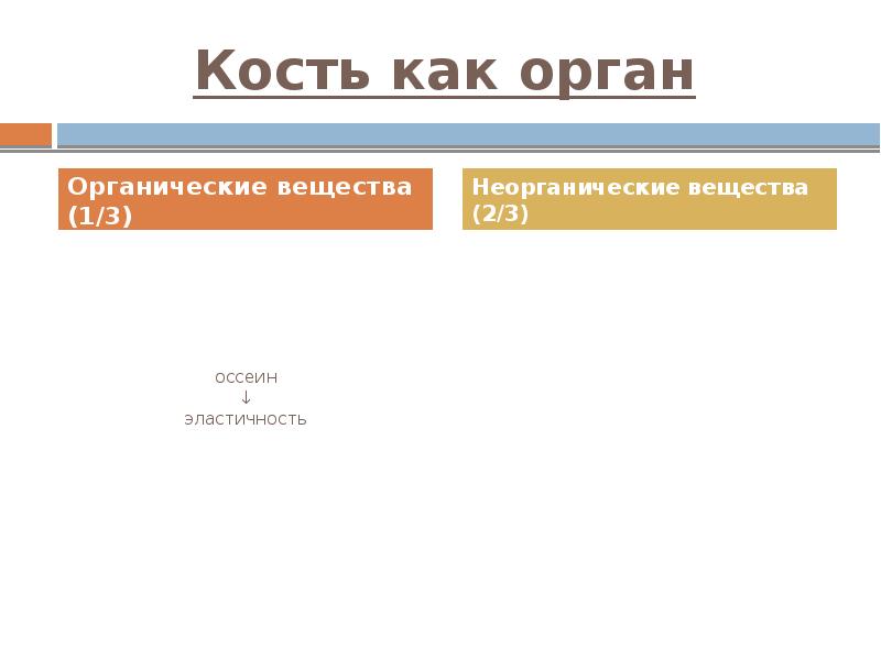 Кость как орган оссеин ↓ эластичность