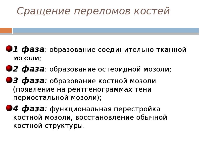 1 фаза: образование соединительно-тканной мозоли; 2 фаза: образование остеоидной мозоли; 3
