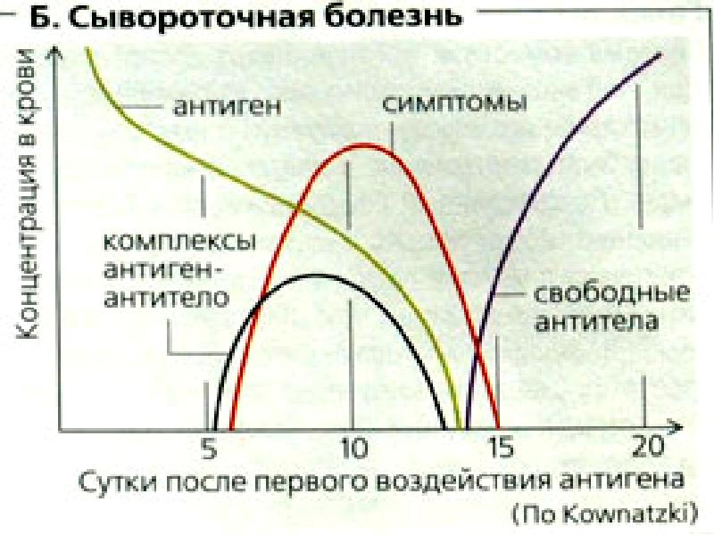 Сывороточная болезнь презентация