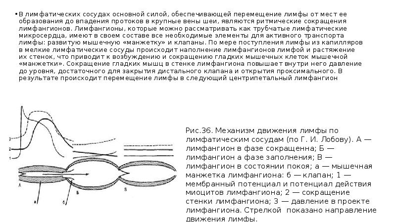 Сокращение стенок