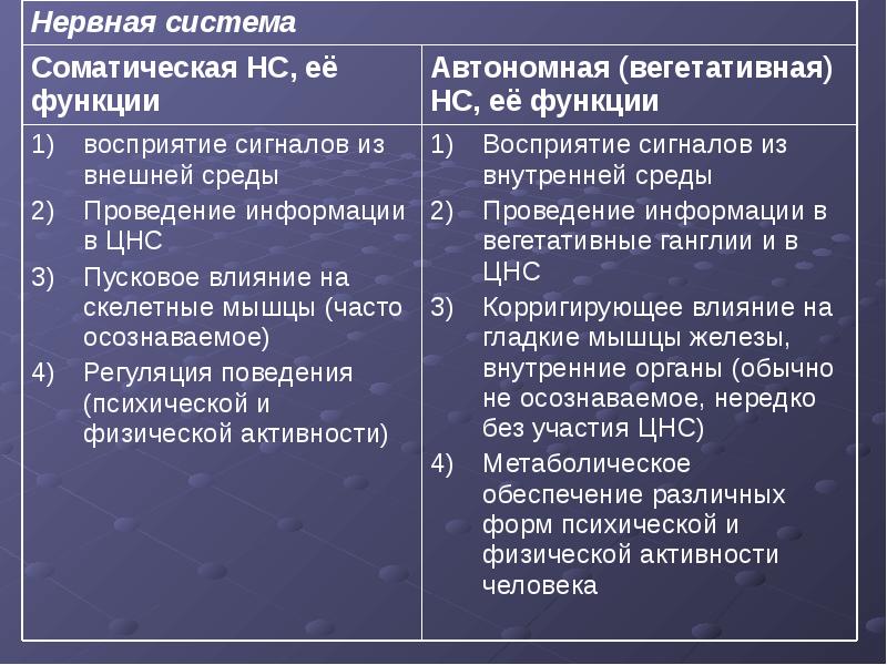 Соматическая и вегетативная нервная система. Соматическая система функции. Функции соматической нервной системы. Соматические и вегетативные функции. Функции соматической и вегетативной нервной системы.