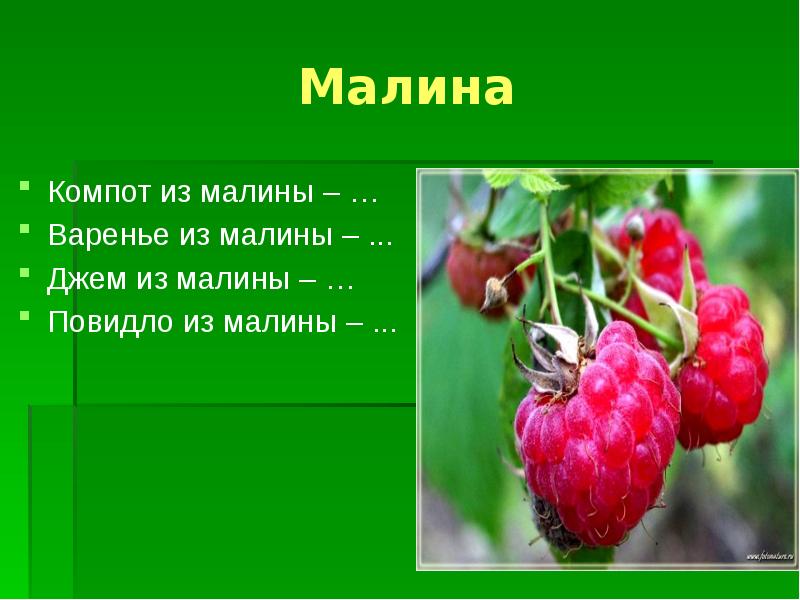 Презентация про малину