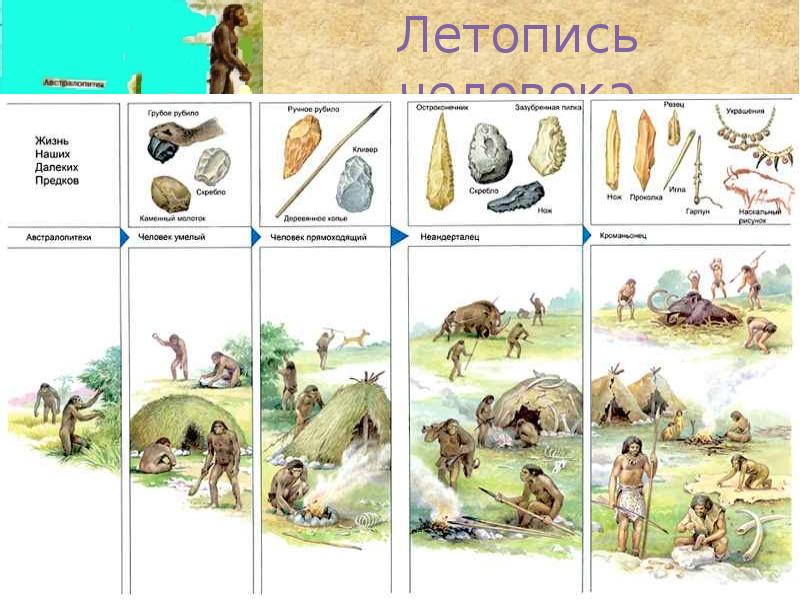 Как появился человек на земле презентация 5 класс пономарева