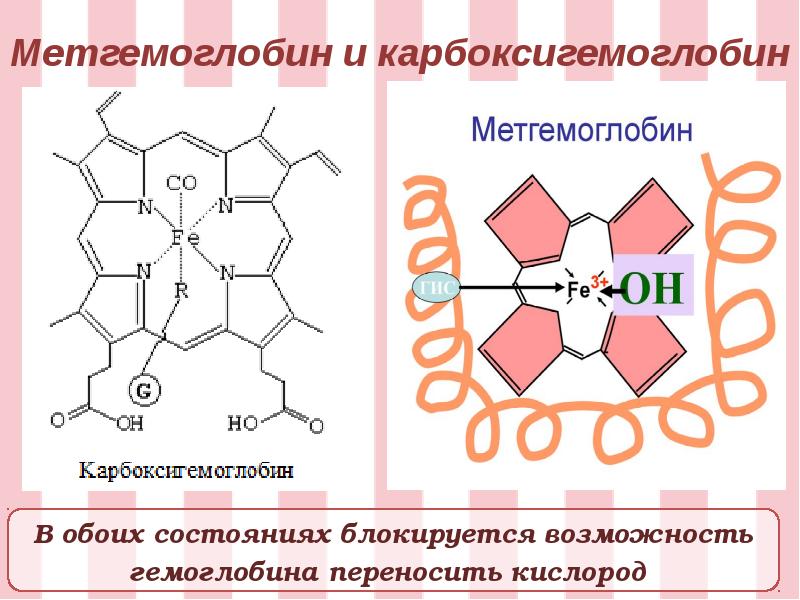 Схема связывания газов гемоглобином карбокси и метгемоглобин