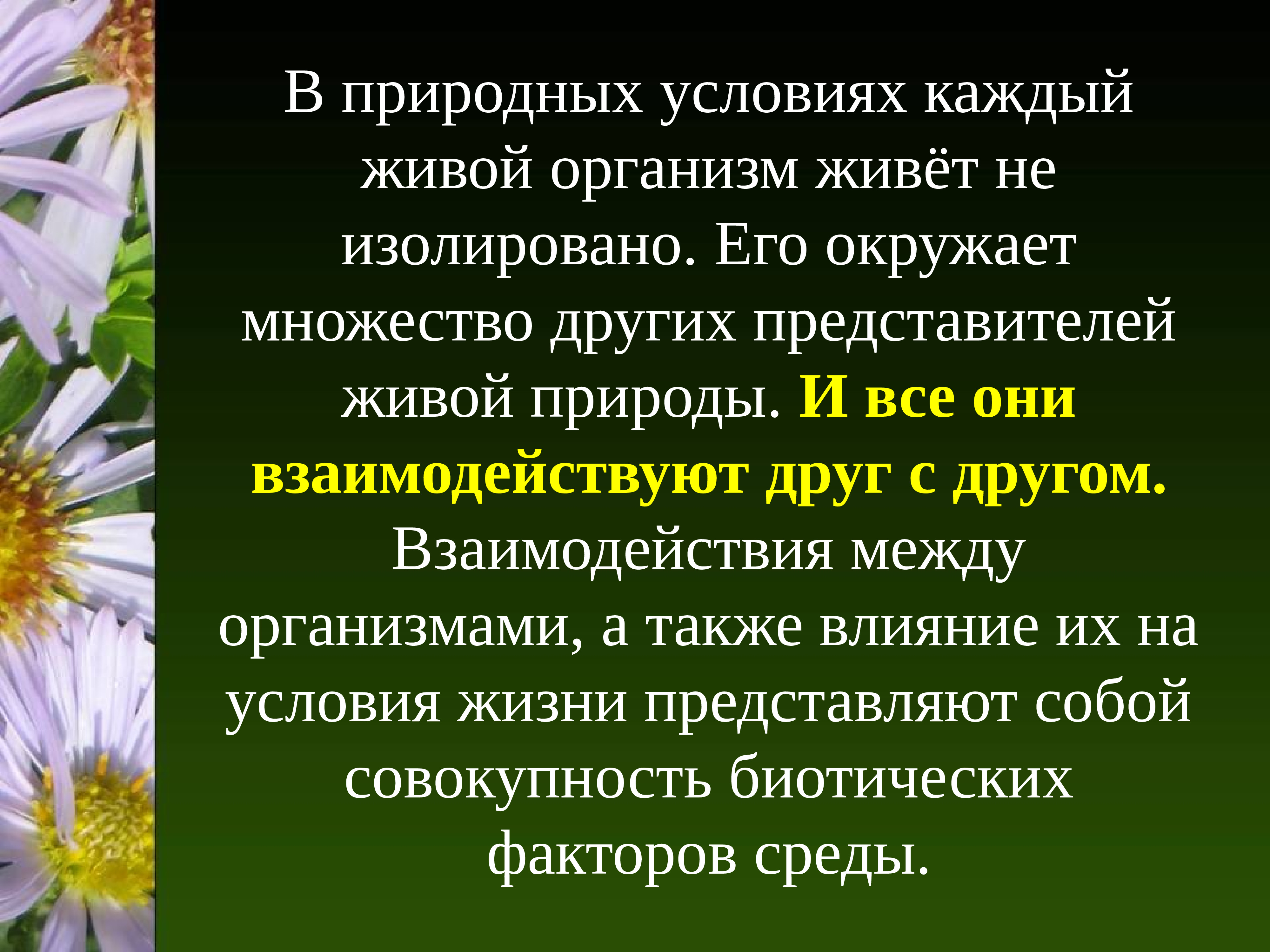 Взаимодействие между организмами а также влияние