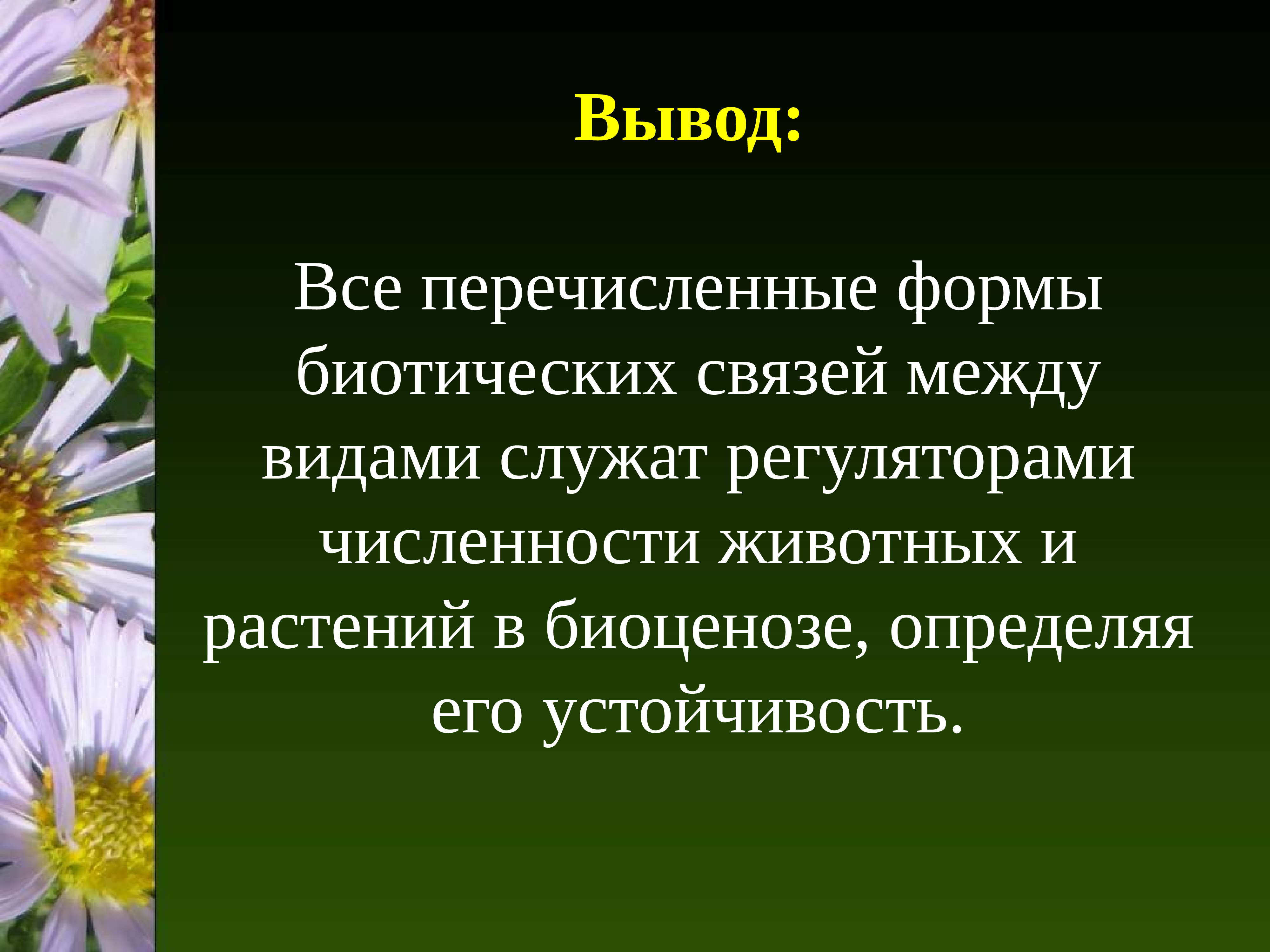 Типы взаимоотношений между живыми организмами презентация