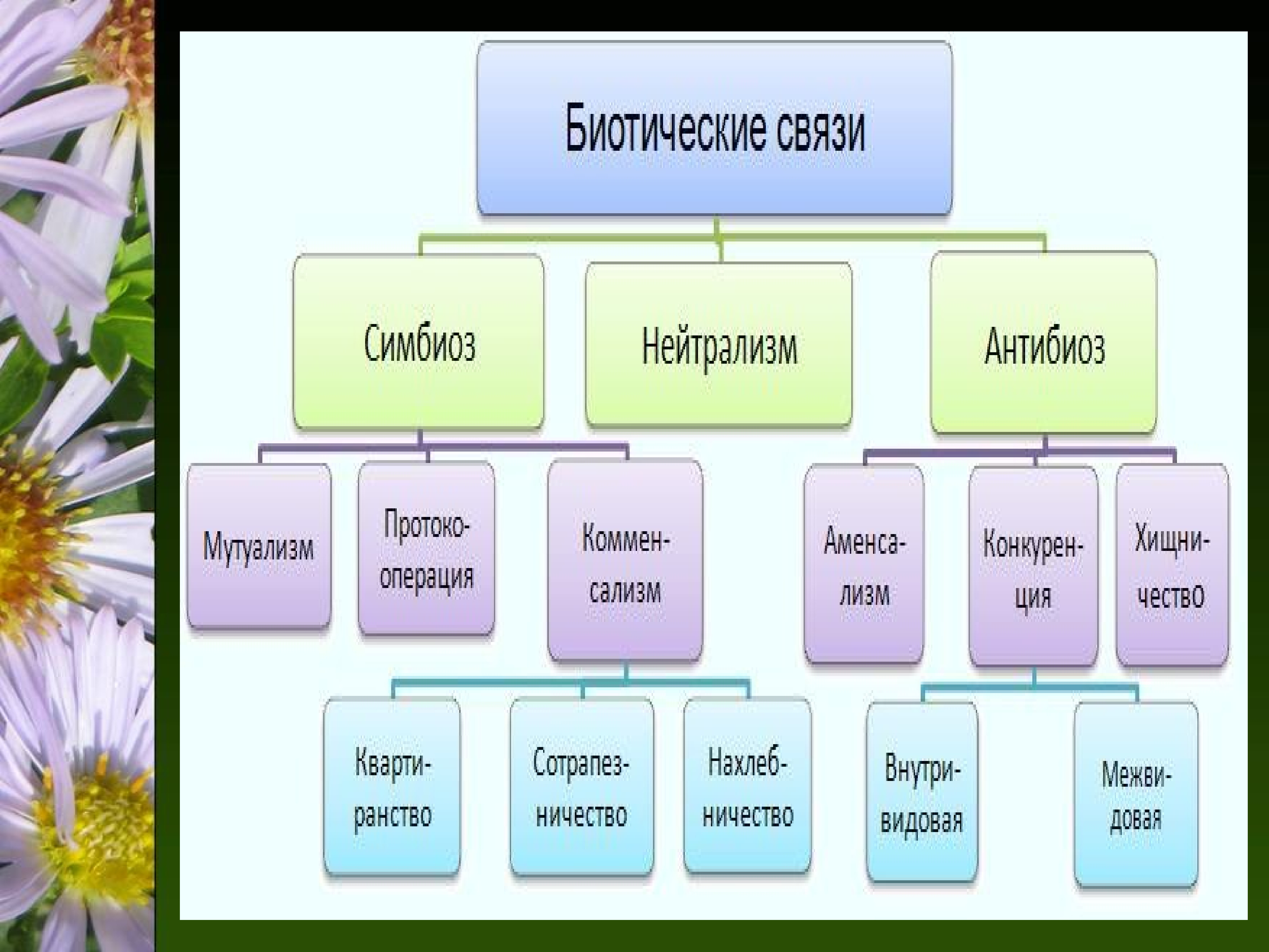 Какие типы биотических связей вам довелось