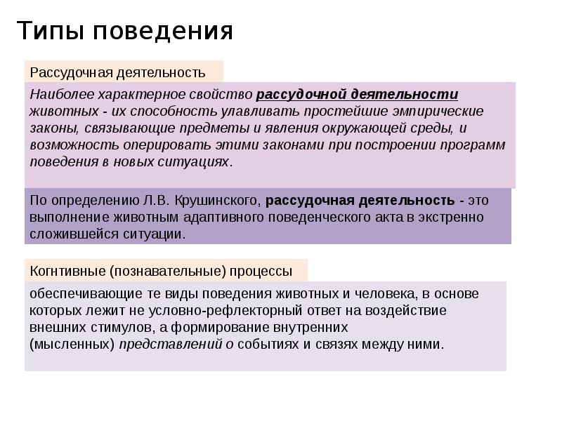 Рассудочная деятельность презентация