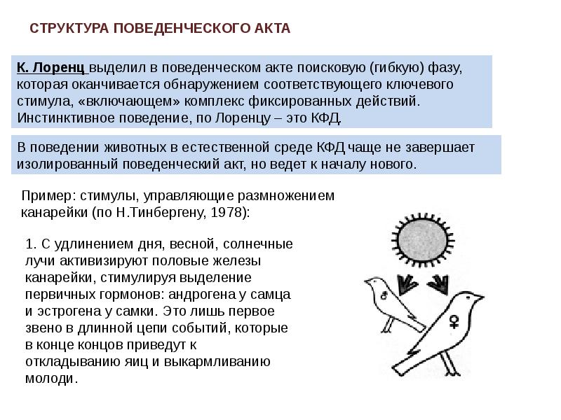 Поведенческий акт презентация