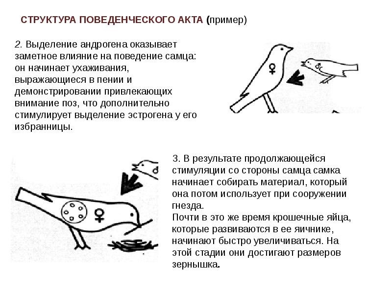 Поведенческий акт презентация