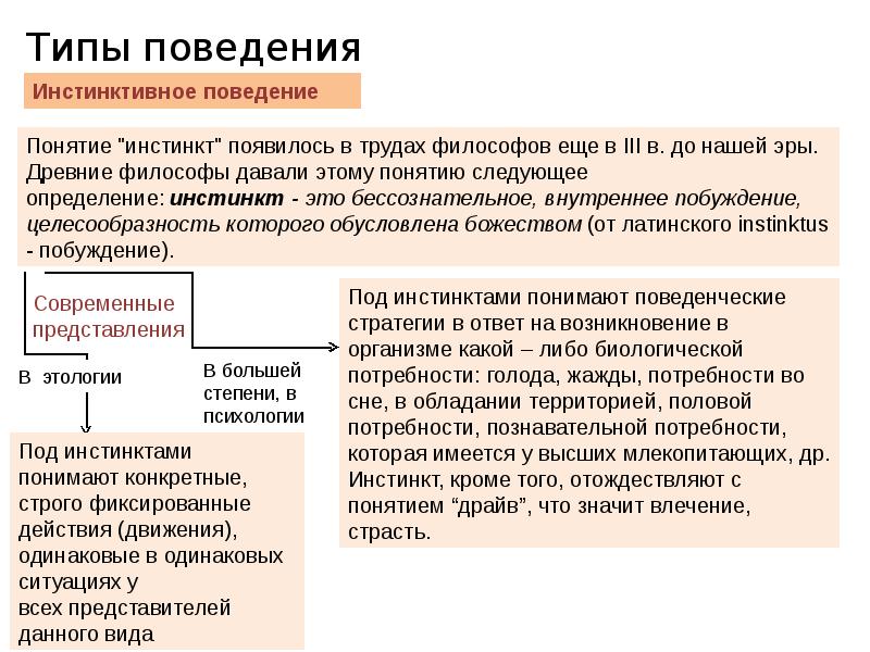 Сравнительная психология презентация