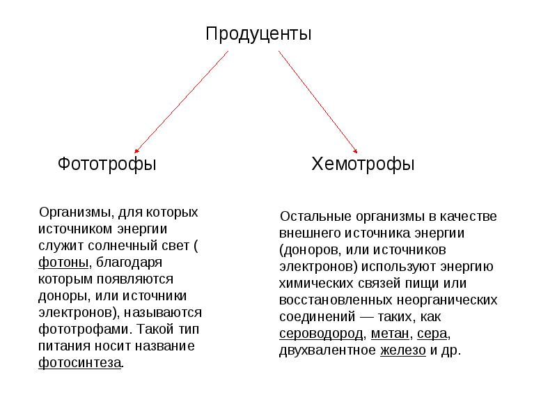 3 группы организмов. Экологические группы организмов таблица. Экологическая структура биоценоза примеры. 3 Экологические группы организмов. Источник энергии биоценоза.