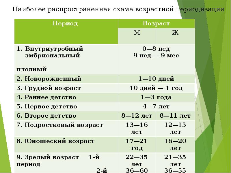 Значение возрастной анатомии и гигиены