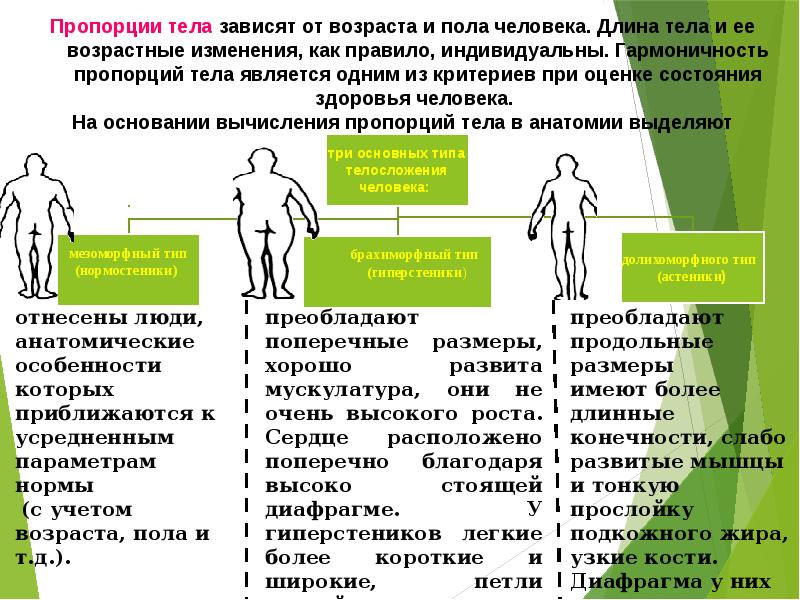 Тест по возрастной анатомии физиологии и гигиене