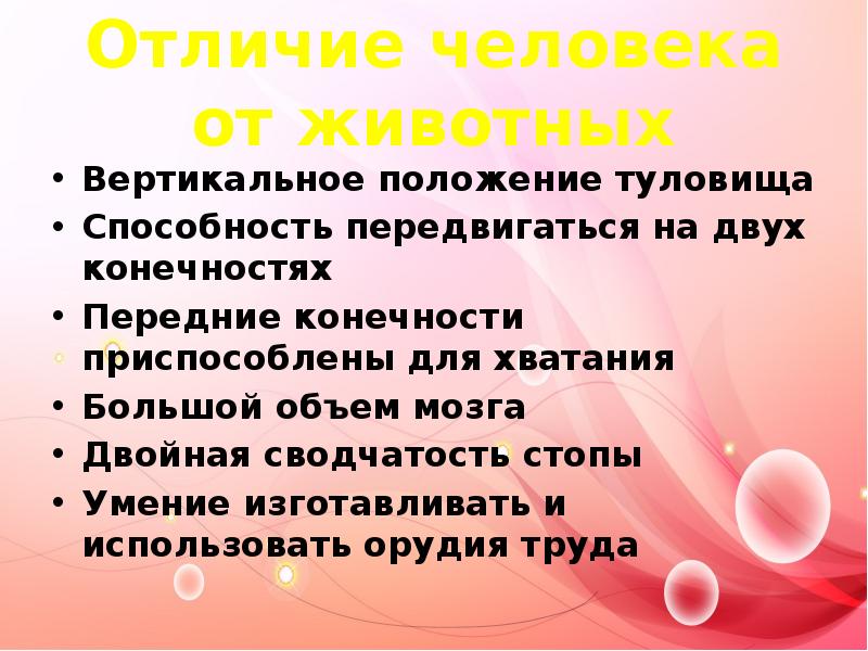 Важное отличие человека от животных