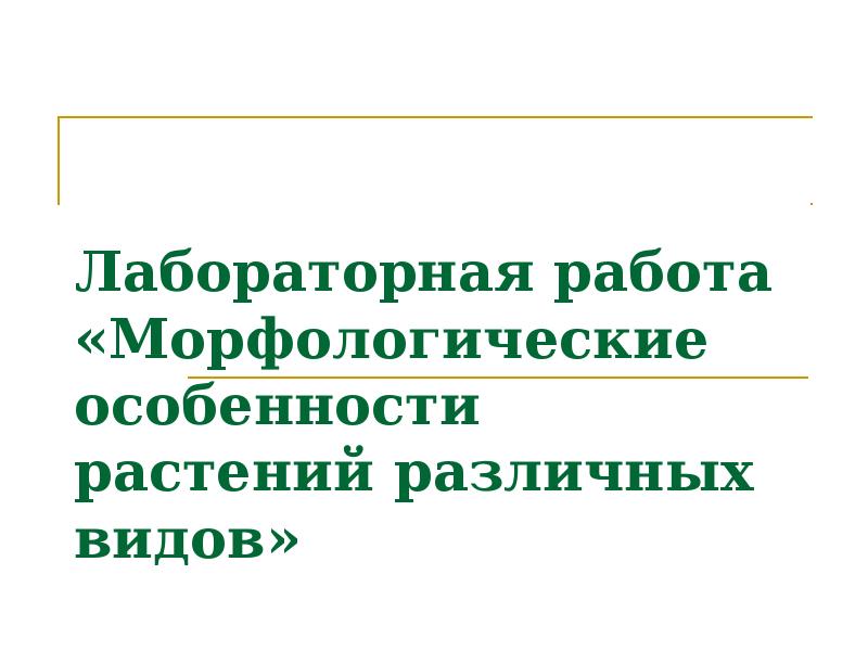 Лабораторная работа морфологические особенности растений различных видов