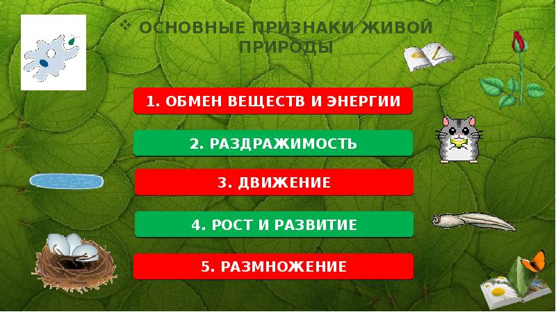 5 признаков живой природы. Рост, раздражимость, движение, размножение. Объект живой природы природы раздражимость. Объекты живой природы рост развитие раздражимость. Обмен веществ раздражимость рост развитие размножение.