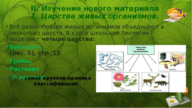 Наука изучающая разнообразие живых организмов их классификацию. 1. Царства живых организмов. Организмы объединены в царство. Царство живых организмов изучаемое биологией. Царства исследования в биологии.