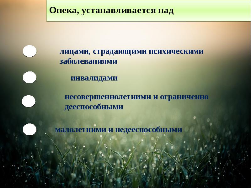 Как начать доклад по презентации