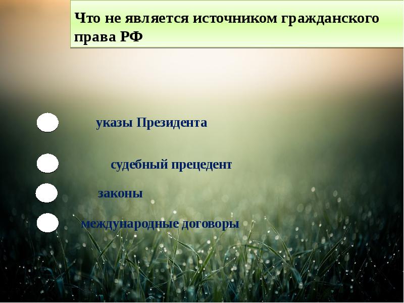 Как начать доклад по презентации