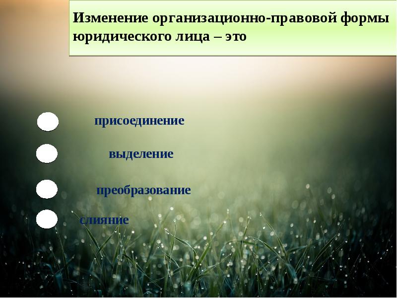 Как начать доклад по презентации