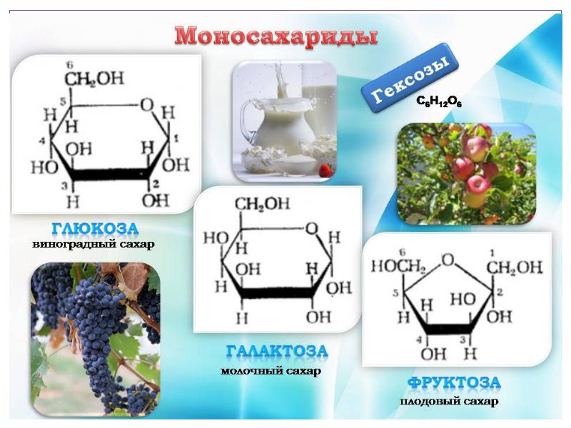 Углеводы химия картинки для презентации