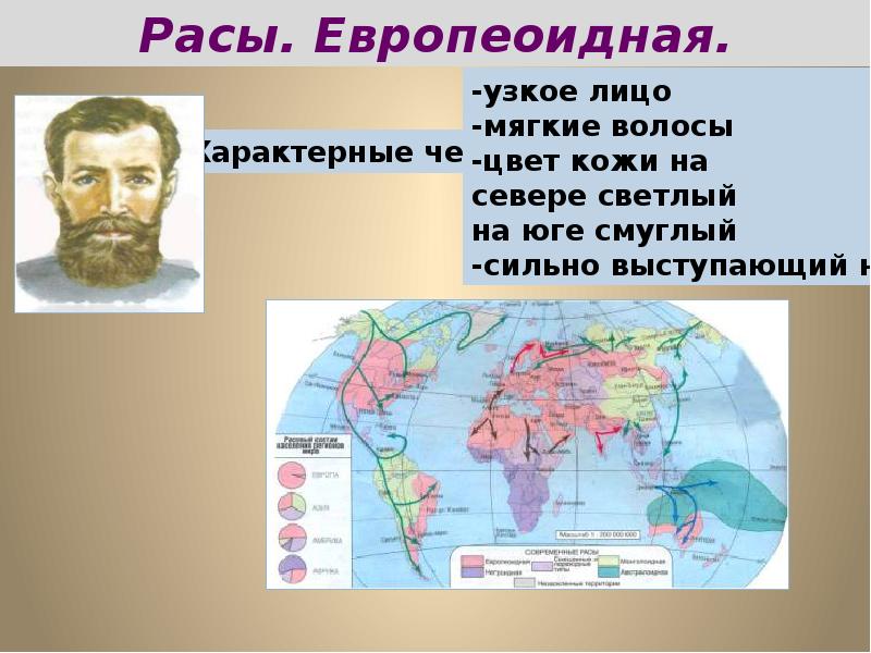 Ареалы рас. Европеоидная раса расселение на карте. Европеоидная раса. Расы людей на карте. Европеоидная раса место расселения.