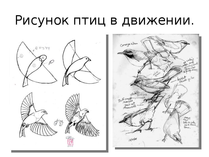 Рисунок стая птиц 2 класс изо