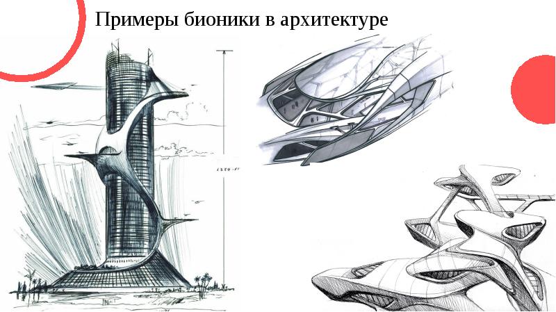 Проект на тему бионика в дизайне