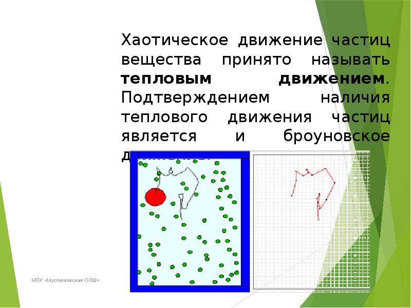 Молекулярное зрение