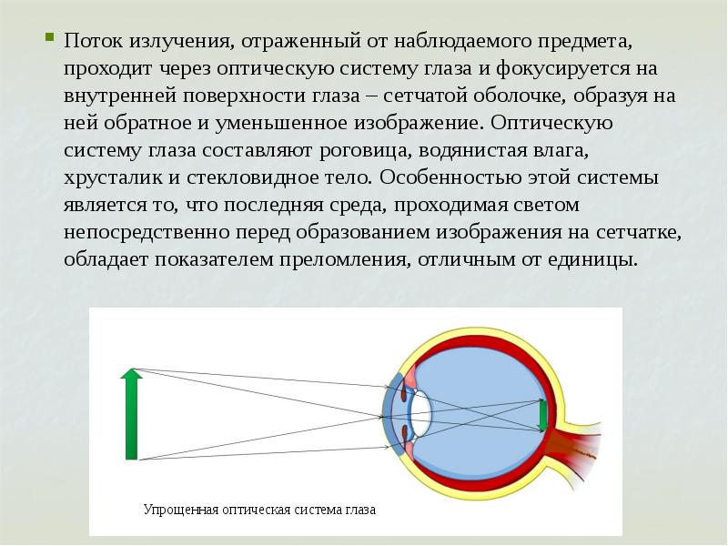 Где формируется изображение в глазу. Оптическая система глаза. Оптическая система глаза даёт изображение предмета:. Оптическая система глаза состоит из. Оптическая система глаза образует изображение предмета на:.