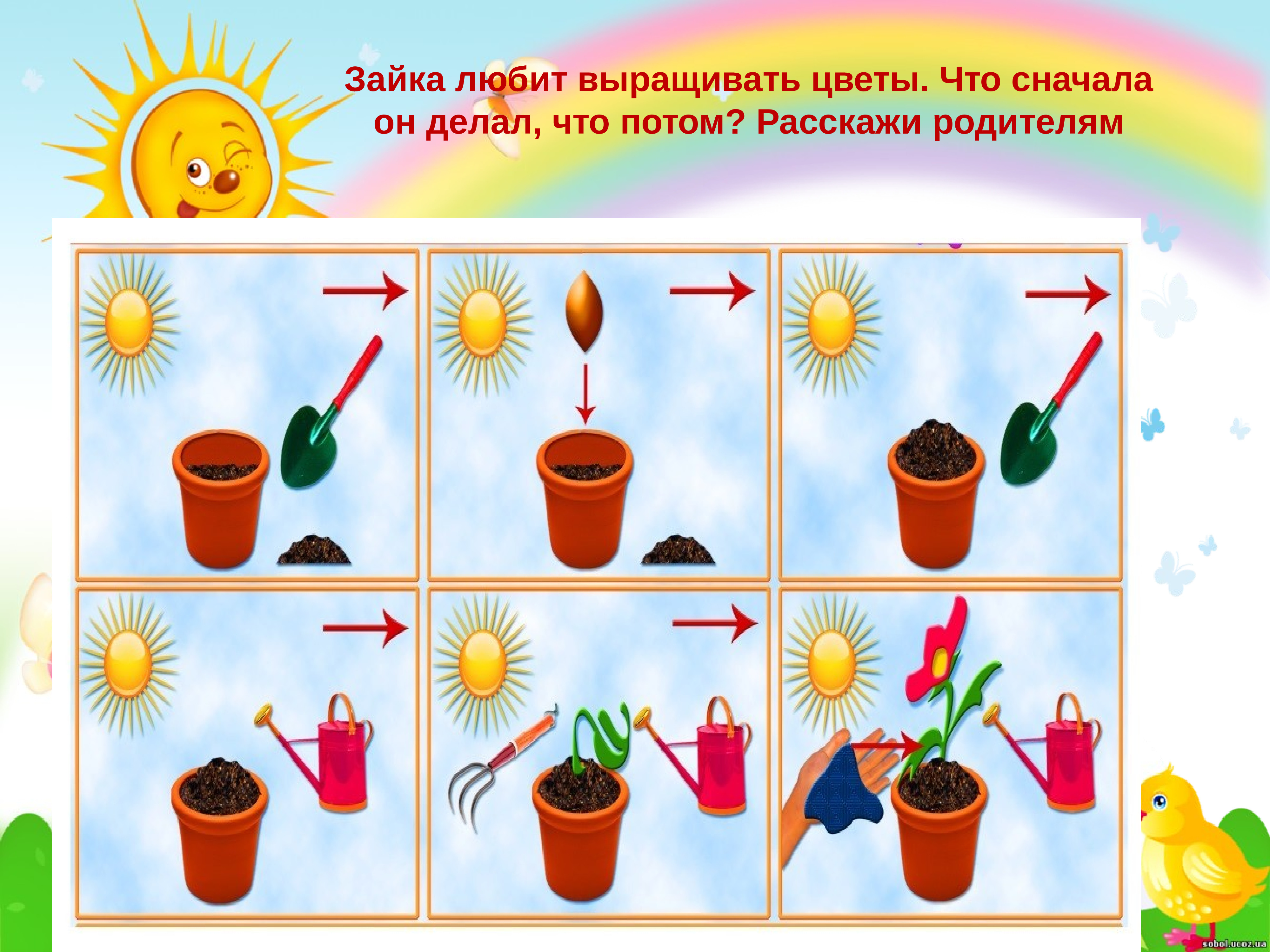 Алгоритм посадки цветов для детей
