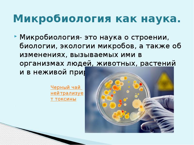 Микробиология это наука изучающая. Микробиология. Микробиология это наука. Новая наука микробиология. Самостоятельные научные дисциплины в микробиологии.