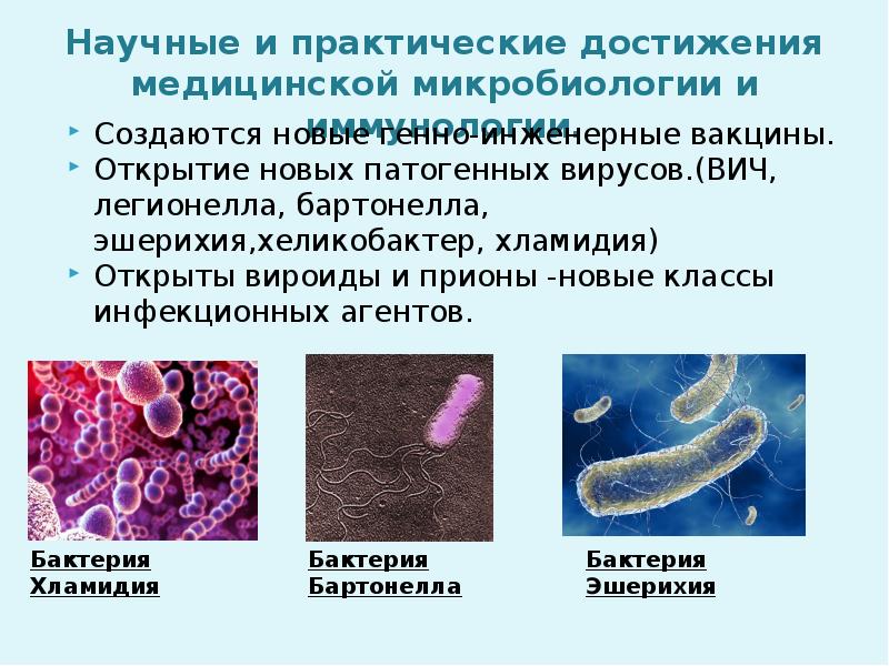 Микробиология темы для проекта