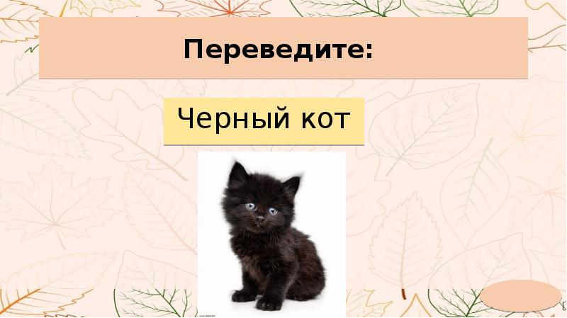 Черный кот перевод. Черный перевод. Чёрный кот перевод на английский. Black Cat. Переведи на русский.