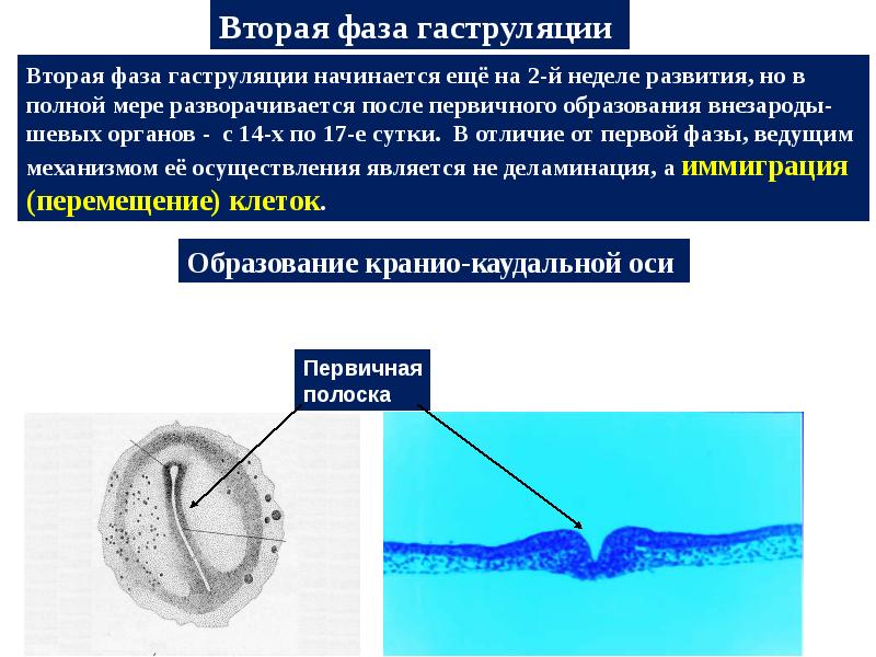 Что происходит на втором этапе