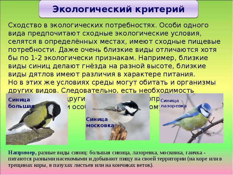 На какой из фотографий приведена птица с которой большинство людей сходны по особенностям течения