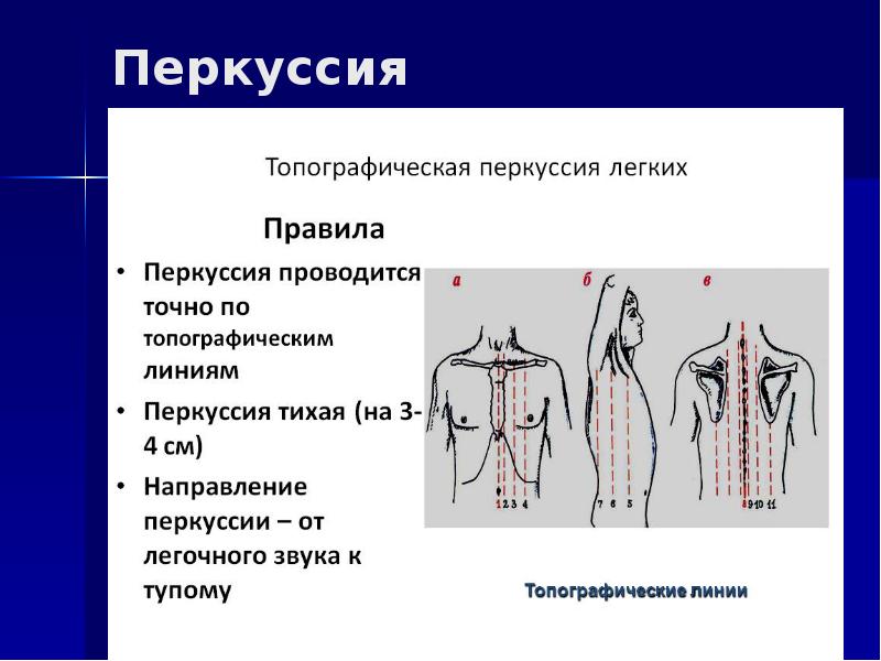 Дыхательная система пропедевтика детских болезней презентация